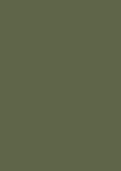 Wandfarbe - Farrow and Ball - Bancha 298 - Emulsion