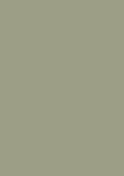 Wandfarbe - Farrow and Ball - Lichen 19 - Emulsion