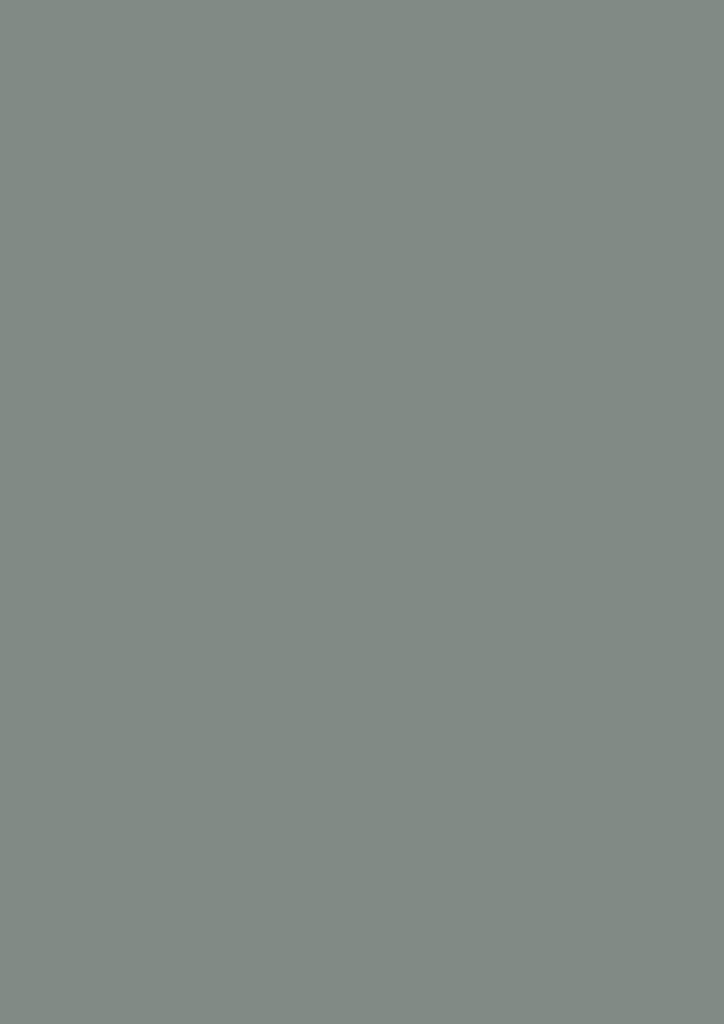 Dead Flat - Farrow and Ball - Plummett 272 - Allround