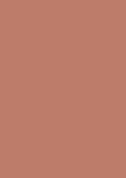 Wandfarbe - Farrow and Ball - Red Earth 64 - Emulsion