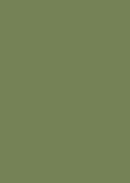 Wandfarbe - Farrow and Ball - Sap Green W56 - Archivfarbe